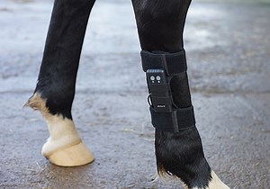 ArcEquine: what is it, how does it work and what is all the fuss about? - Horse & Hound