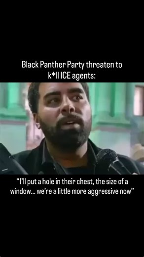 @wallstreetbullion on Instagram: "Black Panther Party threaten to k*ll ICE agents: “I’ll put a hole in their chest, the size of a window… we’re a little more aggressive now” “You wanna correct the ideology of the pig and the mentality of a slave catcher? You meet them with equal force.” Follow me on Instagram 👇 @wallstreetbullion 🚨Follow @wallstreetbullion if you voted Trump 2024🇺🇸 @d0_n0t_c0mply @unbreakableliberty @gr8oz @marianahirmas @snowflakerepellent"
