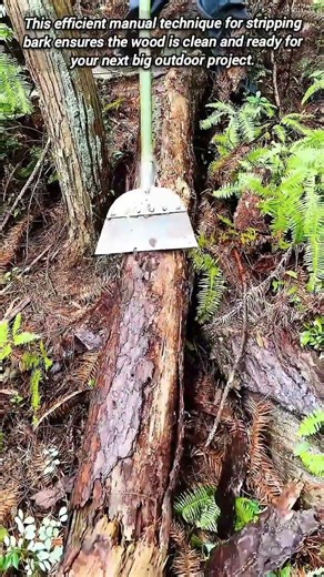 The Most Efficient Way To Strip Bark From Logs