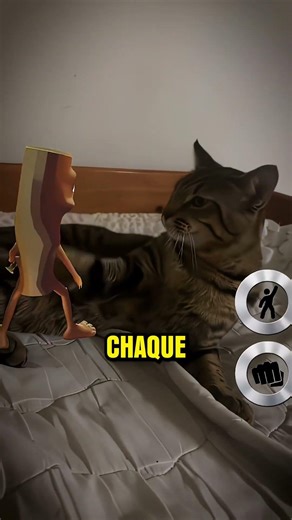 Chat voyant des choses qui n'existent pas..
