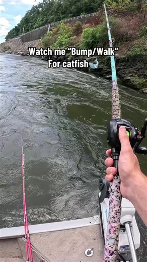 Fishing Techniques for Blue Catfish: A Complete Guide