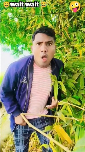 Minto's work is one... 😂😄 #shorts #comedy #funny #dehatidancemk