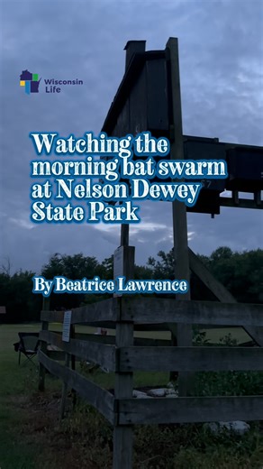 39K views · 774 reactions | This field trip to Nelson Dewey State...