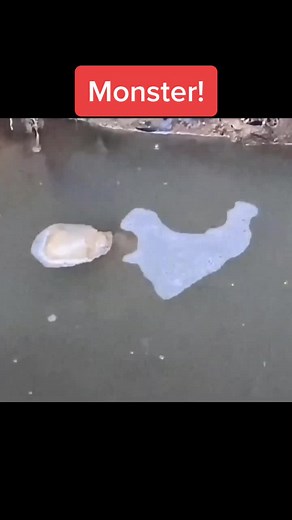 FanFunnyShow on TikTok