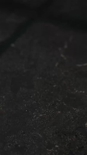 Built to impress at first look this holiday season🎁 Unbox the Galaxy A56 5G and feel the difference instantly. Enjoy smooth performance, long-lasting battery life, sharp cameras, and reliable protection all packed into a sleek, future-ready design. Upgrade today for P25,990. Available in Awesome Lightgray, Graphite, and Pink. Available now at select The Loop stores: • Xentro Mall Vigan • SM City Baguio • SM Center Dagupan • SM City Cabanatuan • New Point Mall • SM City Cauayan • SM Center Pulil