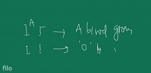 What is the phenotype of the following ? (i) I^A i (ii) ii... | Filo