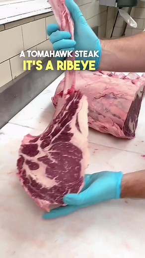 Lets talk Ribeyes 🥩 #oddlysatisfying #steaktiktok #steak #ribeye #yummy