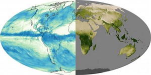 Total Rainfall & Vegetation Comparison - NASA Science