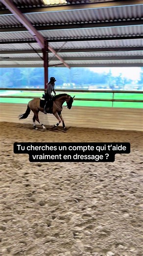 Dressage, jeunes chevaux, bases justes 🐴 Comprendre avant demander. Ici, on construit dans le calme et la cohérence. #dressage #training #equitation #cheval #dressagecheval