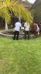 15K views · 195 reactions | Animal interaction at a coded location | Ama Manson | Facebook