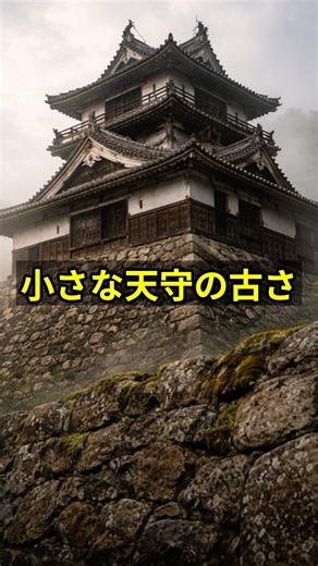 丸岡城はなぜ小さくても強いのか #shorts#丸岡城#現存天守