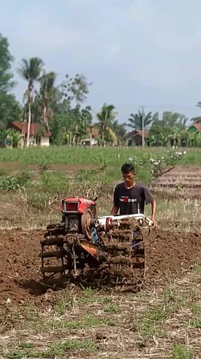 Video Menarik Traktor Sawah di TikTok