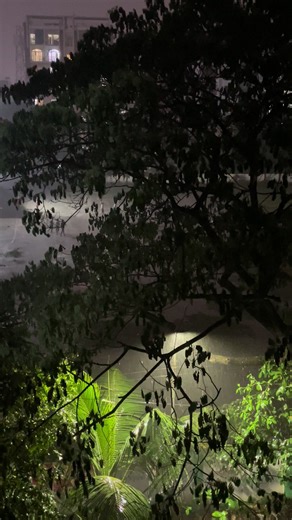 Understanding the Beauty of November Rain