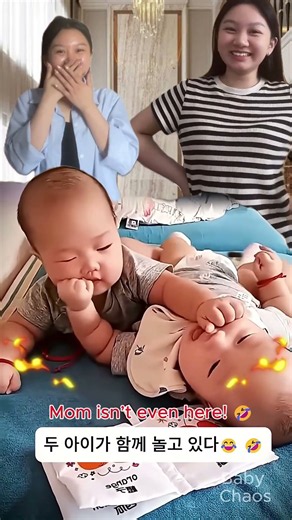 Why are these two babies biting each other? 😂👶#baby #family