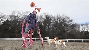 250K views · 2.1K reactions | Watch What Happens When These Dogs Finally Confront This GIANT Siren Head Monster! You Won't Believe Your Eyes...or Ears for that Matter! | Maymo the Dog | Facebook