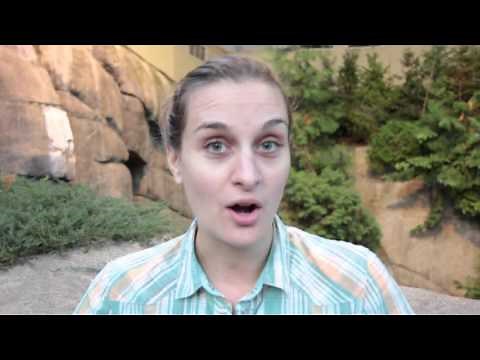 Déterminer les caractéristiques permettant la classification des animaux vertébrés.