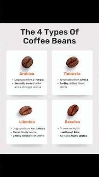 4 Types of Coffee Beans You Need to Know!