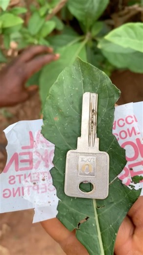 Funny way to keep your keys #funny