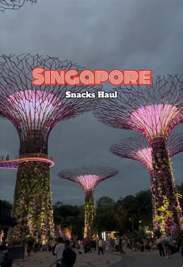 Singapore Snacks Haul: Tasting Local Delights