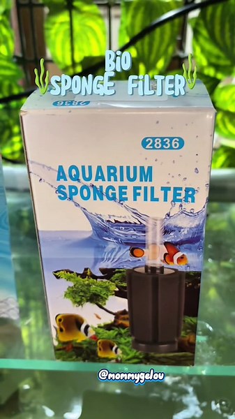Bio Sponge Filter: Enhance Your Aquarium Environment