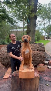 5.6M views · 394K reactions | Full Look at The Rhodesian Ridgeback Carving   #dogs #rhodesianridgeback #woodcarving #doglover #reelsfacebook | Michael Jones Chainsaw Sculptor | Facebook