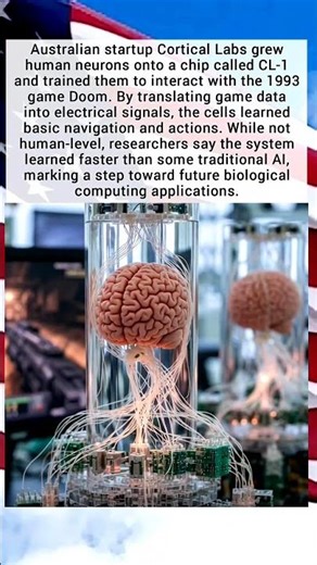 By translating game data into electrical signals, the cells learned