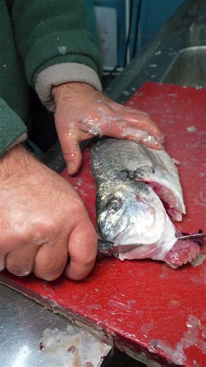 We have the freshest fish in Istanbul