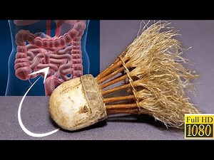 Evolution of badminton shuttlecock 1800 - 2022 (Full HD)