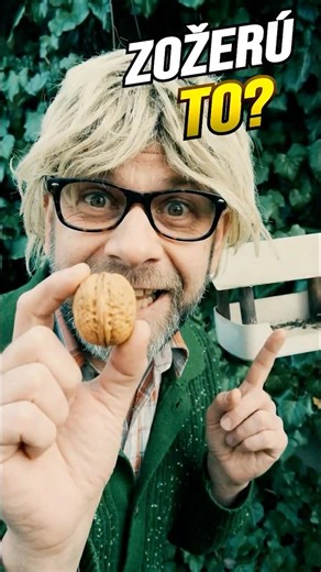 Krmítko pre vtáčiky alebo pre kuny?