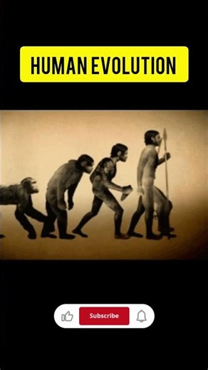 Human #study #motivation #biology #human