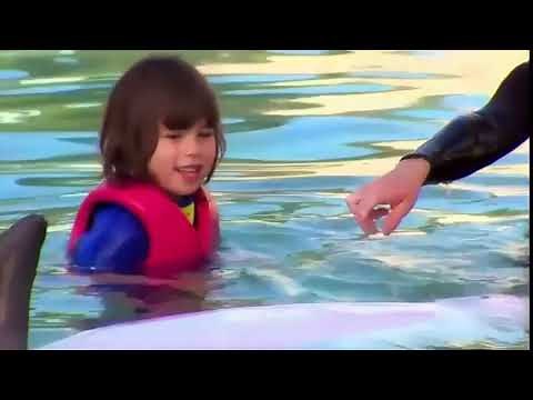 This Is Emily Yeung Swimming With Dolphins