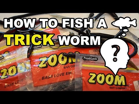 HOW TO FISH A TRICK WORM? KNOW THE BASICS! DROP SHOT, WACKY RIG, SHAKEY HEAD, WEIGHTLESS, TEXAS.
