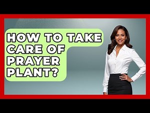 How To Take Care Of Prayer Plant? - The Plant Enthusiast