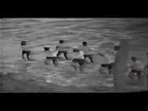 Del Shannon Handy Man