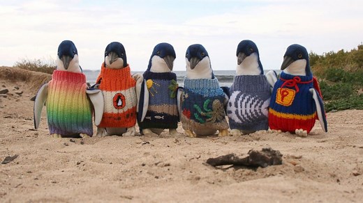 Australia's Oldest Man Is a Prolific Knitter of Penguin Sweaters