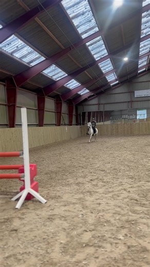 95cm. ⭐️Domse⭐️