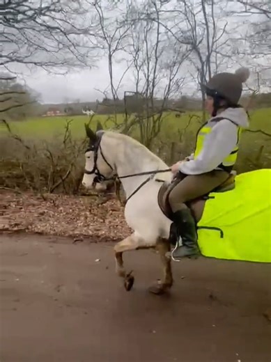 Bouncing Back After Two Horse Falls in Three Weeks