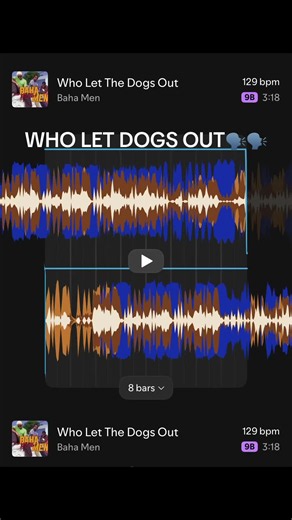 yippie i oh 🗣️ #wholetthedogsout #bahamen #funny #worstmixes | who let the dogs out