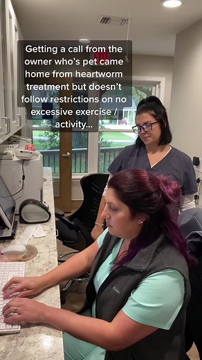 Heartworm Treatment Recovery Guidelines for Pets