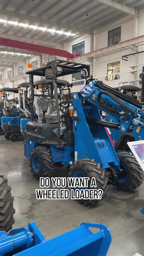 Chinese loader #chinesemachine