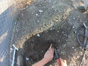 Getting the results | GOLD-COIN & RELICS AUSTRALIA