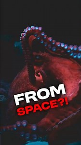 Are Octopus & Mushrooms Actually Extraterrestrial 🍄👽