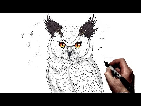 How To Draw A Great Horned Owl | Step By Step