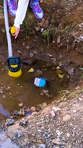 Cleaning the Pond Led to a Shocking WOW Cube Find 🔥ORDER NOW👉 https://bit.ly/wowcube_fb_5mc #wowcube | 5-Minute Workouts