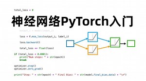 【2025版】这绝对是B站最好的Pytorch天花板教程，从入门到实战，通俗易懂，一套解决Pytorch框架所有问题！深度学习/人工智能/神经网络
