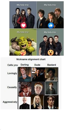 My Holy Trio + Nickname Chart 😂🔥 | Best Fandom Combo Ever! #memes #harrypotter #trending #viral