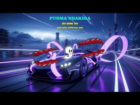 PUSMA SHAKIRA EGO WONG TUO SLOW VIRAL TIKTOK FULL SONG