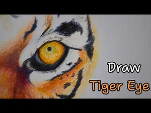 Tiger Eye Drawing for Beginners | Detailed Colored Pencil Guide