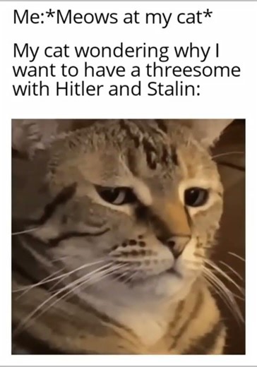 Daily Dank Memes #Memes #Shorts