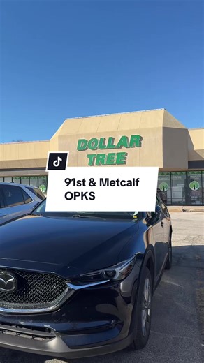 Exciting Dollar Tree Finds: Shop With Me!